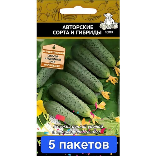 ���� ������ ������ ����� 