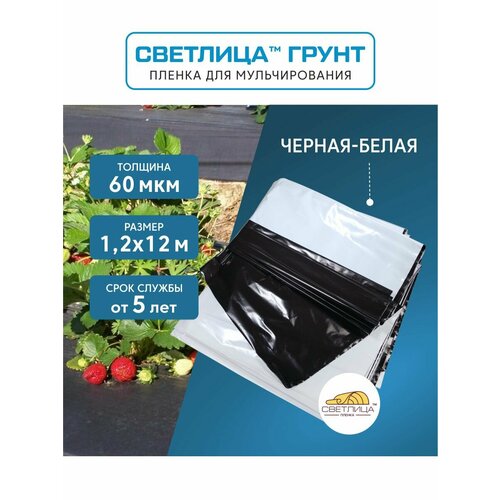 ���� ������ ��� ������������� �������� ����� 1,2x12 �, 60 ���, �������� �������� ������ ������