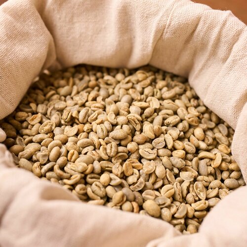 ���� ������ ���� ����������� ��� �������, �������� ��� ����������� � ��������, 2 ������ (�������� 16 ��) ������ ������