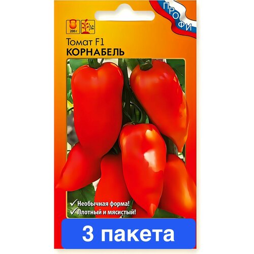 ���� ������ ������ ������� ������ 