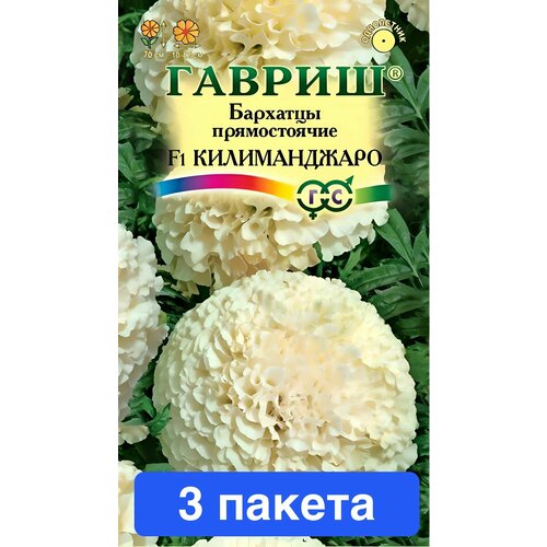 ���� ����� �������� ������������ ������������ F1 3 ������ ������ ������