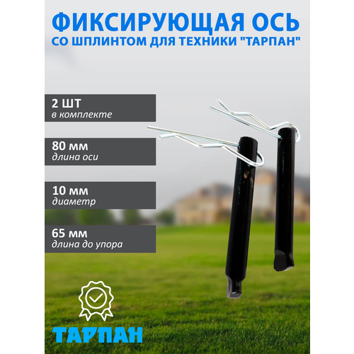 ���� �������� ����������� ���� 10�65 �� �� �������� ��� ������� ������, 2 ��. ������ ������