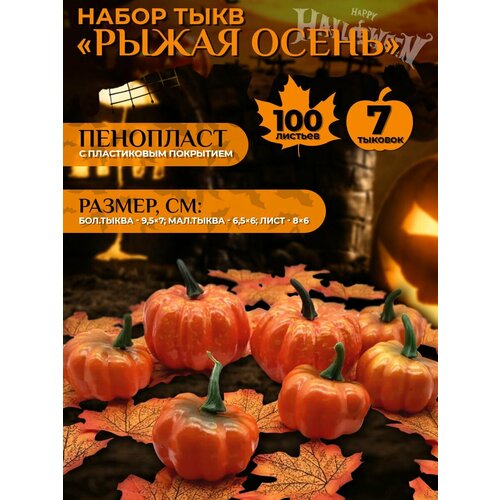 ���� ����� ���� 