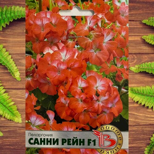 ���� ������ ������ ��� ���� � ���� ���������� ����� ���� F1 ������ ������