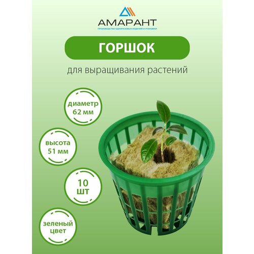 ���� ������ ������� ��� ������� 10 �� ������� ������ ������