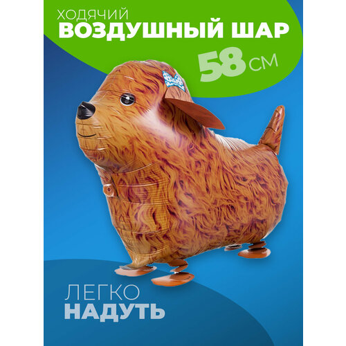 ���� �������������� ������� ��� ������ ������ ������