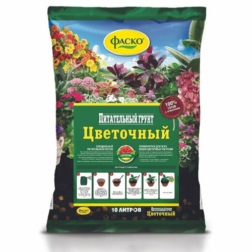 ���� ����� ��� ��������� �������� �����, 10 �, ����, ������ ������ ������