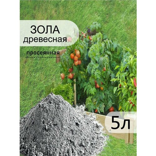 ���� ���� ���������-����������, 5� ������ ������