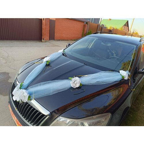 ���� ��������� ����� �� ����� ���������� ������ ������