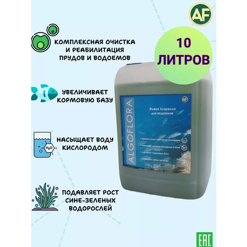 ���� �������� ��� ������� ������ � �������� 10 ������ ������ ������