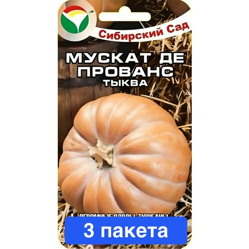 ���� ������ ������ ��������� ��� 