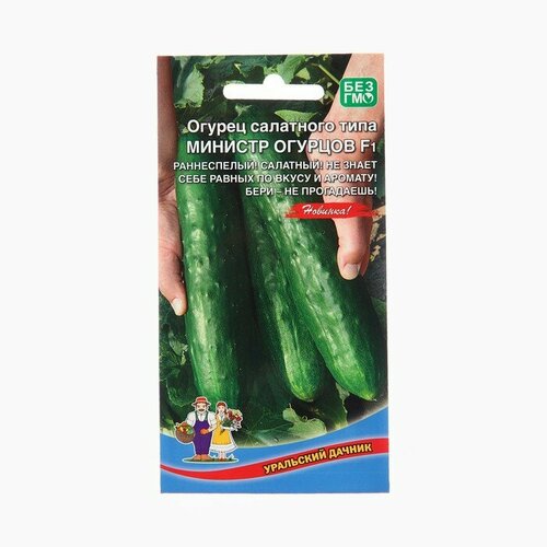 ���� ������ ������ 