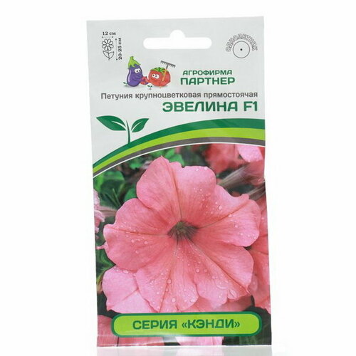 ���� ������ ������ ������� ������������ ���������� 