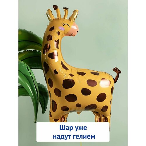 ���� ��������� ��� � ������ �������������� ������ ������ ����� ������ ������