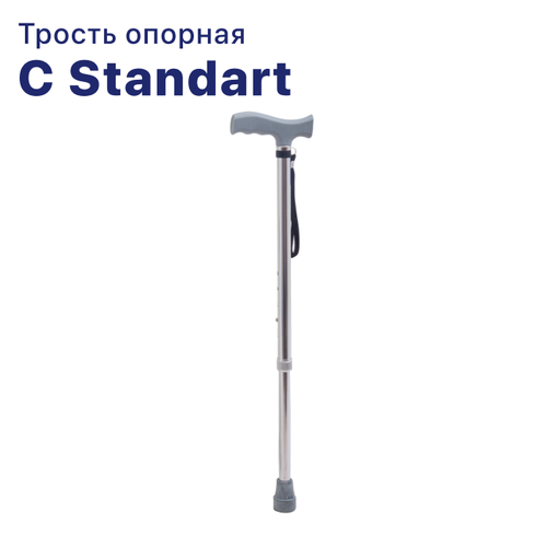 ���� ������ C Standart ���� ������ ������