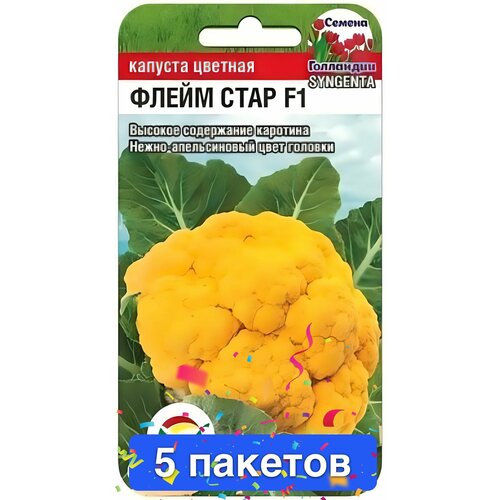 ���� ������ ������ ��������� ��� 