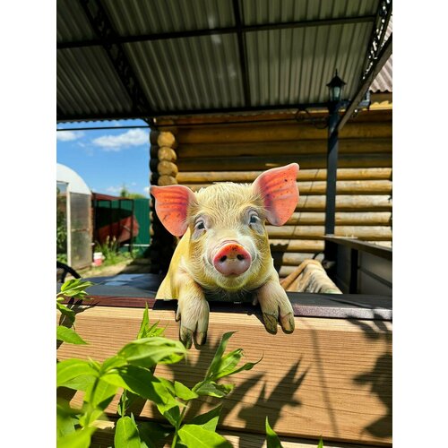 ���� ����� �� ������� ��� ����, ���� 