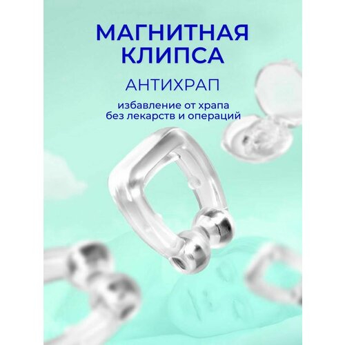 ���� �������� ������ ������