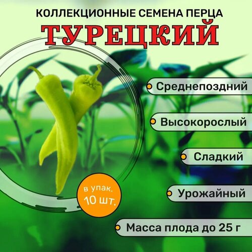 ���� ������������� ������ ����� �������� �������� ������� ������ ������