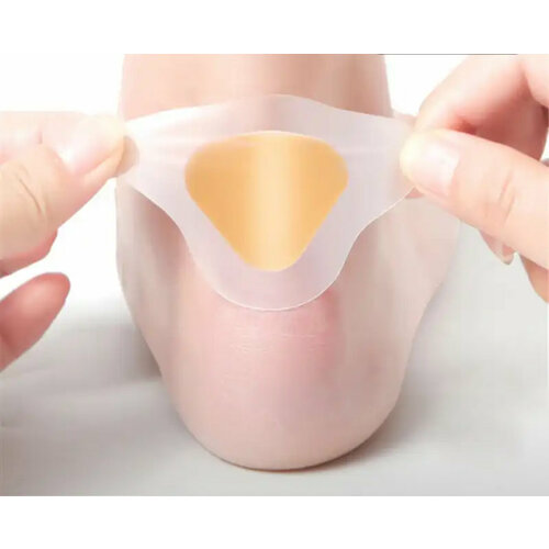 ���� 10 ���� ������� �������� ����������� �� �������. ��������������� ������ ������