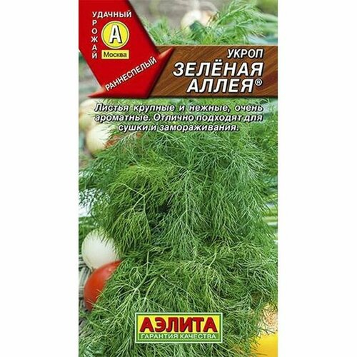 ���� ������ ����� ������� �����, �����������, (������) 3� ������ ������