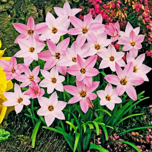 ���� ������ �������� ����� 10 ��. ������ ������