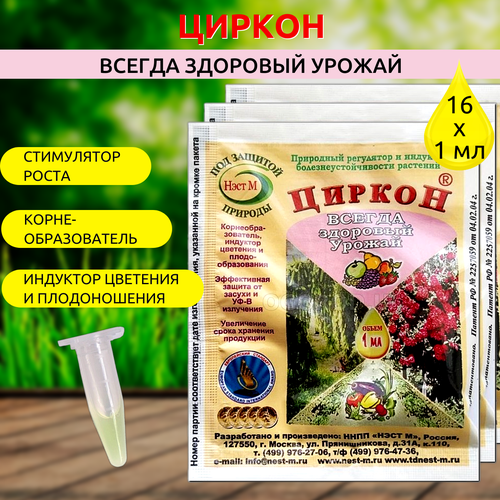 ���� ���� � ������ ��� �������� 1 ��, 16 �� ������ ������