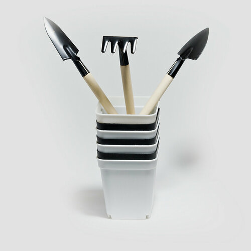 ���� ����� ��� ������� ������ ������