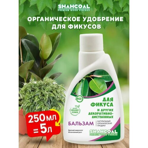 ���� ������� ��� ������ � �����������-���������� �������� �� ������ ���������� ������ ��������� ��� ��������� �������� ������ ������