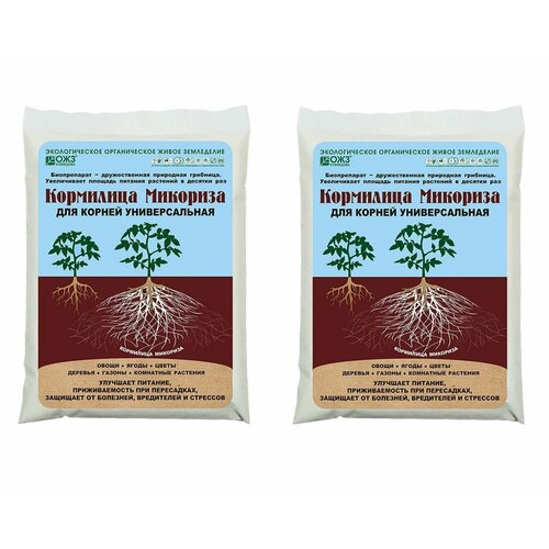 ���� �������� ��������� �������� 2�� ������ ������