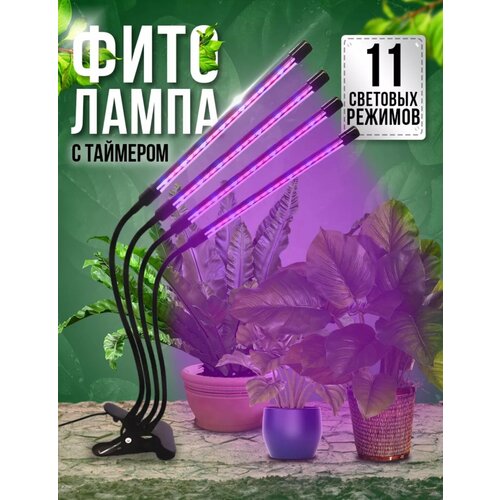 ���� ��������� ��� �������� ������� �������, ������������ ����� ��� �������, �������������� ��� ������, 4 ������ ������ ������