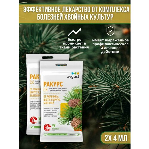 ���� �������� �� �������� ������� ��������, ��������� ��� ������ � �����, ��������� ������ 4 �� 2 �� ������ ������