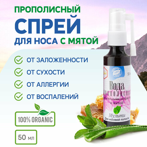 ���� ����������� ����� �� �������� � ������������ ���� � ����� ������ - ������������ ��������, ��������, �������, 50 ��. ������ ������