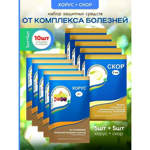 ���� ���� �������� 5 �� ����� �������� ��� ������ �������� �� �������� 5 �� ������ ������