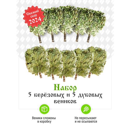 ���� ����� ��� ���� ��������� � ������� �� 5 ���� ������ ������