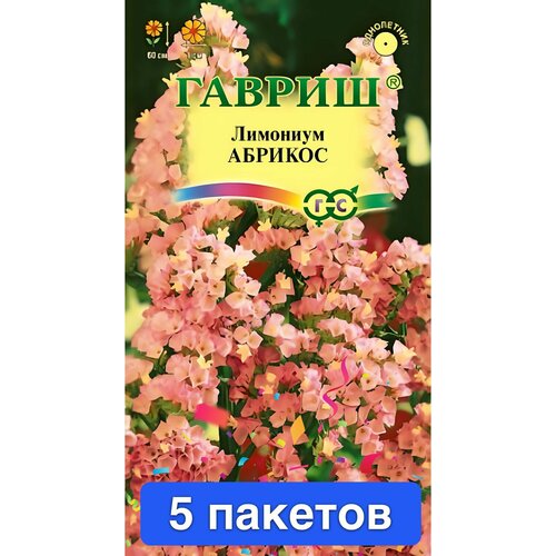 ���� ����� �������/�������� ������� 5 ������� ������ ������