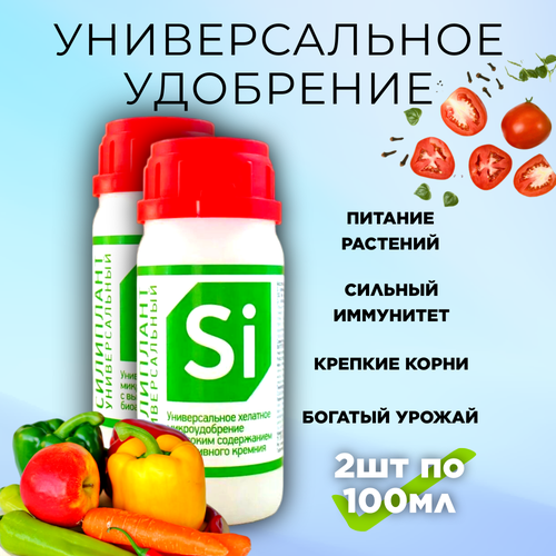 ���� ���� � ���������, 2 �� �� 100 �� ������ ������