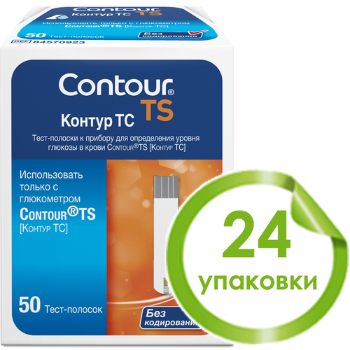  -   (Contour TS) - 24  50 ( 31.03.2025 .)   -     , -, 