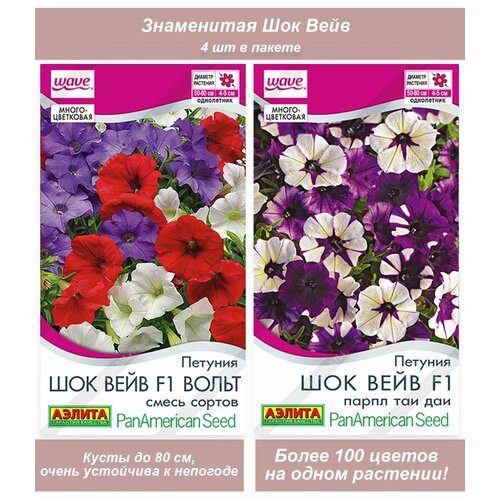 ���� ������ ������ ��������� �������������� �������������� ������� ��� ���� ������ ������