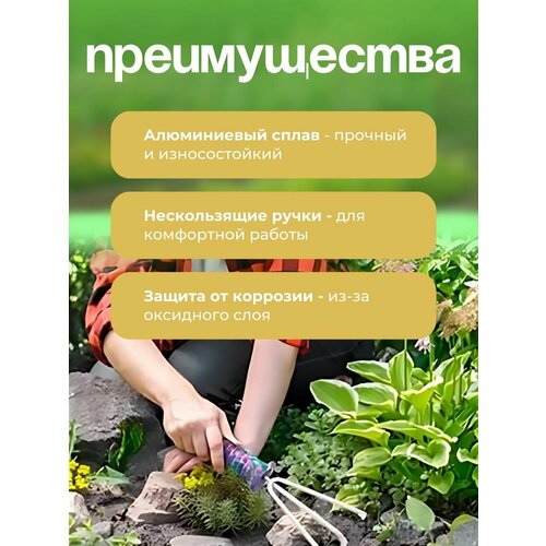 ���� ����� ������� ������������ 10 � 1 ��� �������� � ������� �������� � ��������� ����� ������ ������