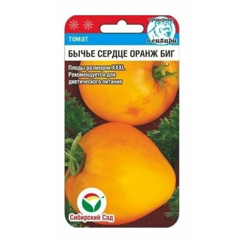 ���� ������ ����� ����� ������ ����� ��� 20�� (��������� ���) ������ ������