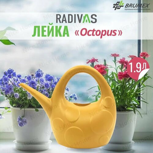  Radivas     Octopus  H1-01-37,      -     , -, 