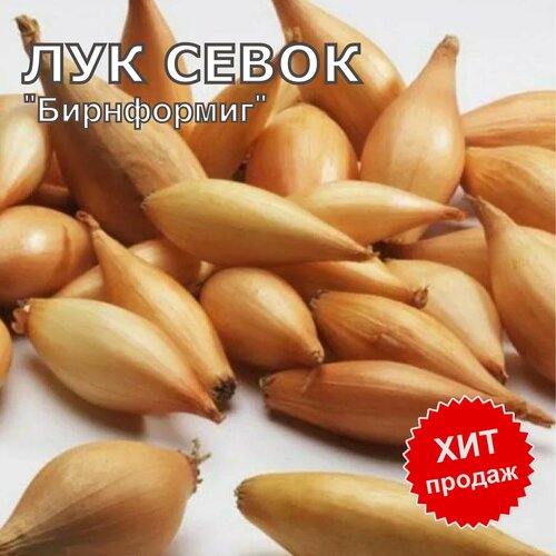 ���� ��� ����� ������ �� ������� ���������� 900� ������ ������