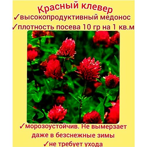 ���� ������ ������� ���������� 30��, ������ �������� ��� ����/ ������/ ������ ����� ������ ������