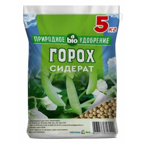 ���� ����� ������ �������� ����������� 5 ��. ������ ������