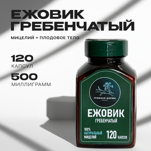 ���� ������ ����������� (������) � �������� 120 �� / ���� �� ����� / ��������� ������� / ����� ������ ������