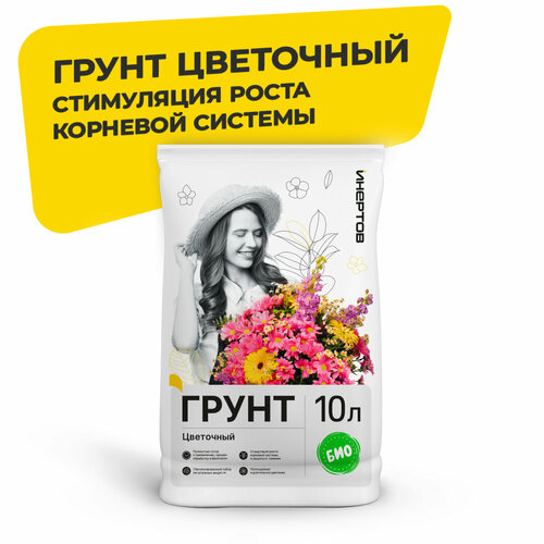 ���� ����� ��������� ������� ����� ��� ������ ������ ������