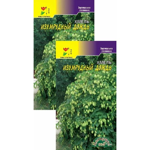 ���� ����� ���������� ����� (0,1 �), 2 ������ ������ ������