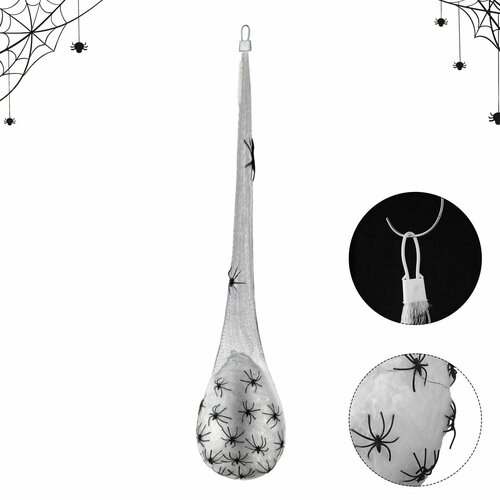 ���� ��������� � ��������� 