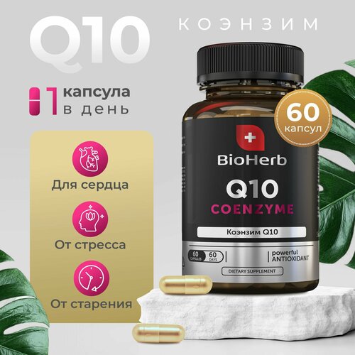  BioHerb   Q10,     , 60    -     , -, 